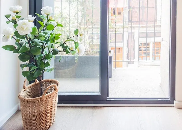 Apartamento Muuuy Mexicano A 2 Cuadras Del Zócalo México DF